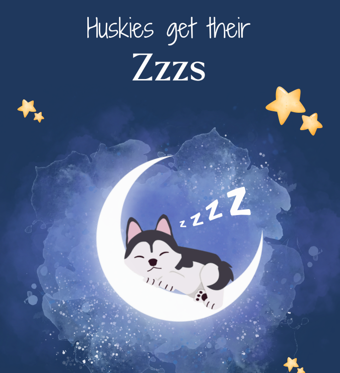 cartoon Husky dog snoozing on the moon